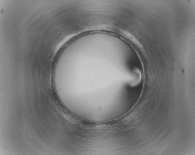 X0000073751316200608311925