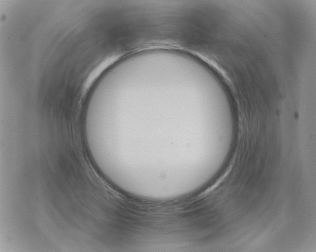 X0000073751317200608311925