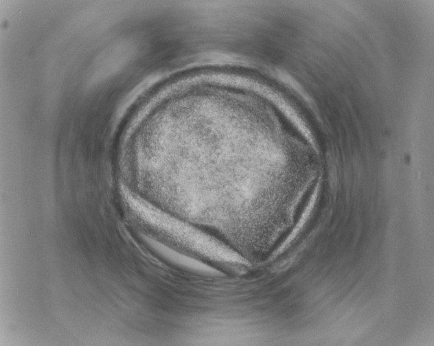 X0000073751318200608311925