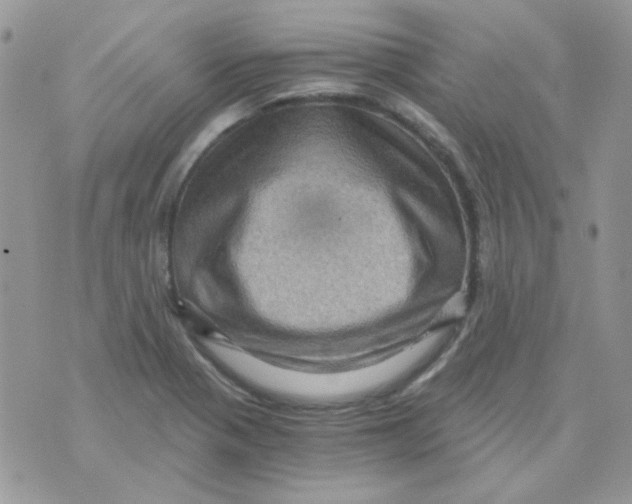 X0000073751321200608311925