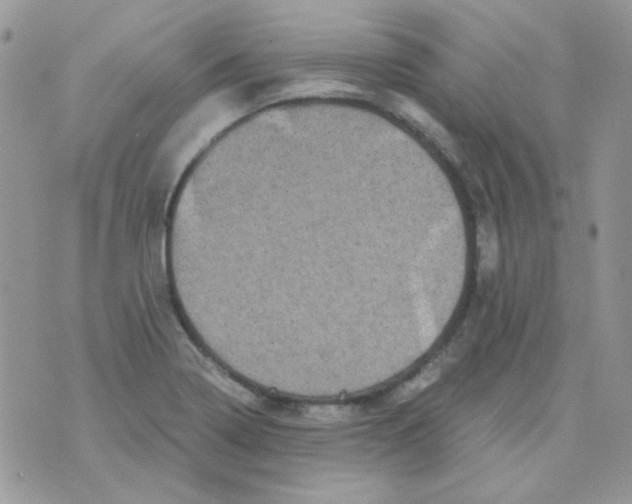 X0000073751322200608311925