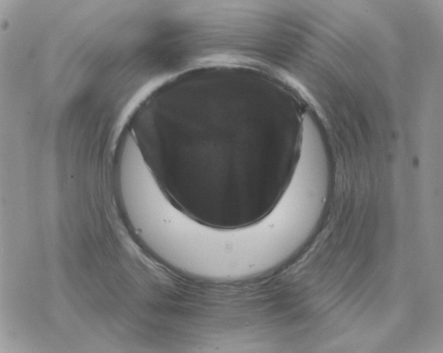 X0000073751323200608311925