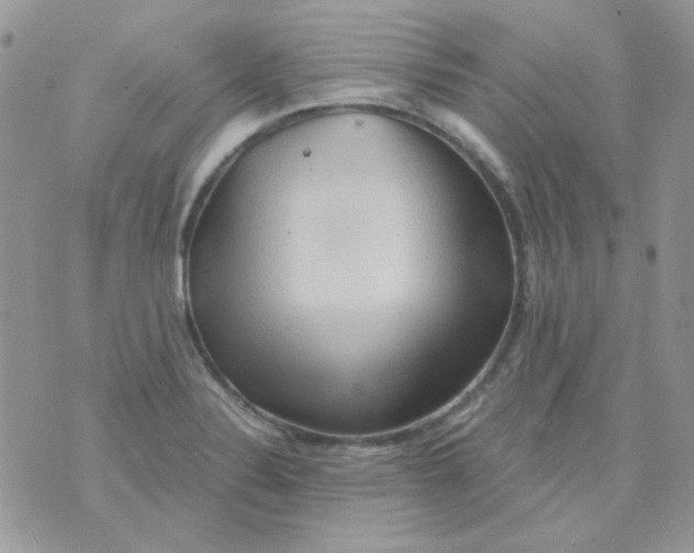 X0000073751324200608311925