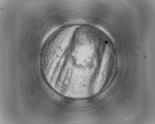 X0000073751325200608311925