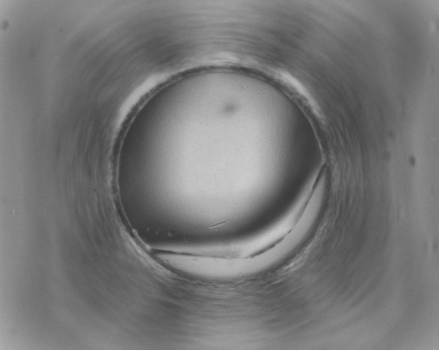 X0000073751326200608311925