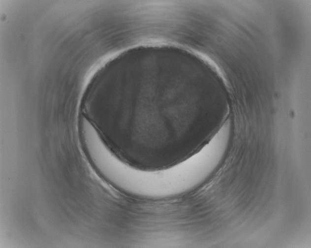 X0000073751327200608311925