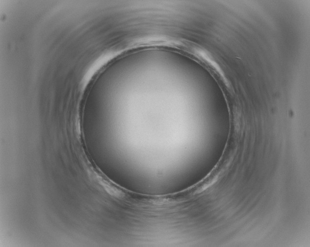 X0000073751328200608311925