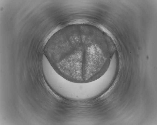 X0000073751329200608311925