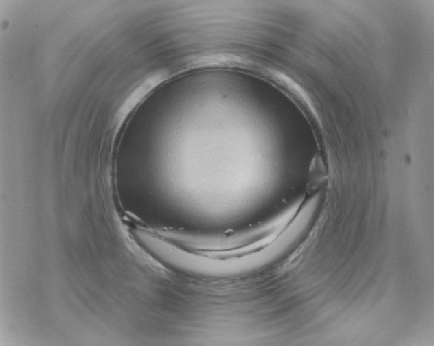 X0000073751330200608311925