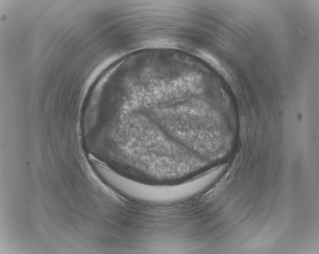 X0000073751331200608311925