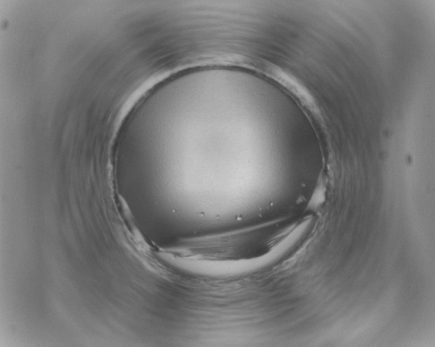 X0000073751332200608311925