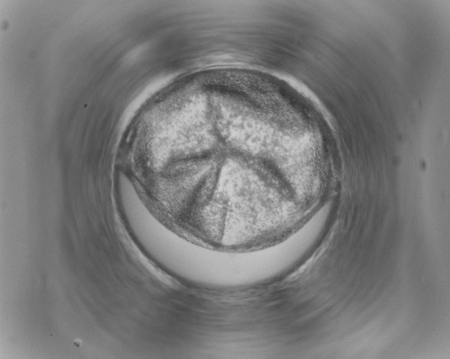 X0000073751333200608311925