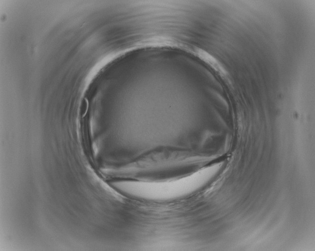 X0000073751334200608311925