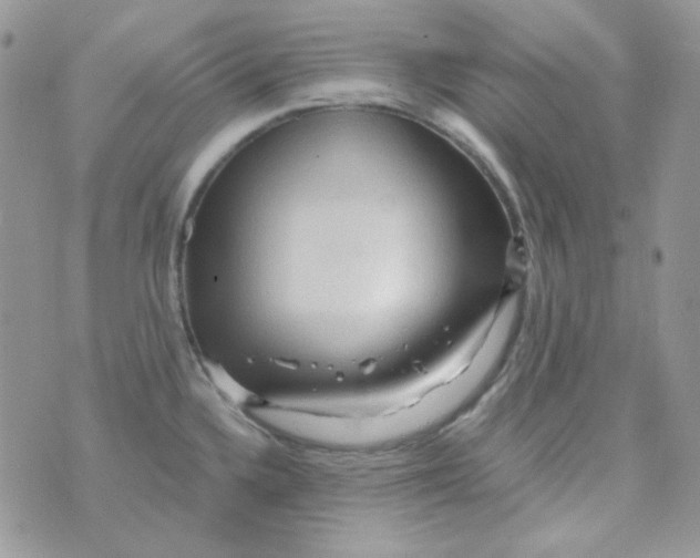 X0000073751336200608311925