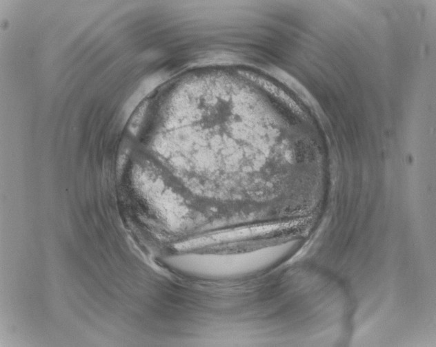 X0000073751337200608311925