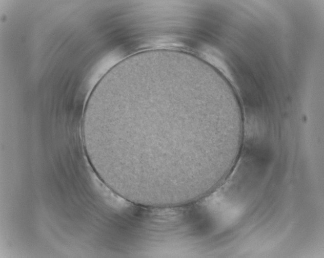 X0000073751338200608311926