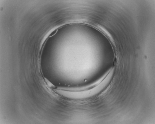 X0000073751340200608311926