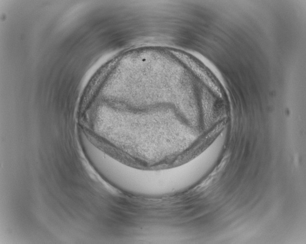 X0000073751341200608311926