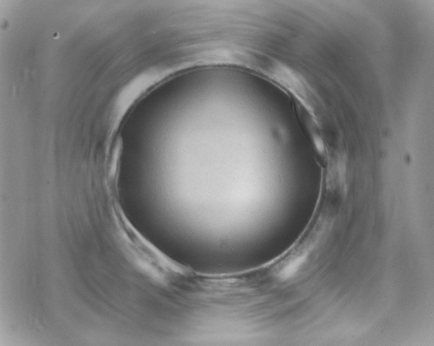 X0000073751342200608311926