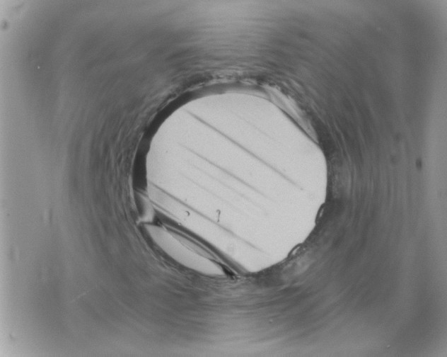 X0000073751345200608311925