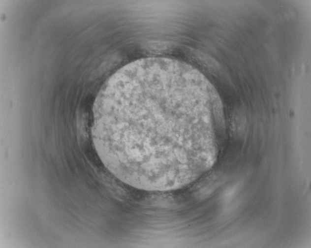 X0000073751346200608311925