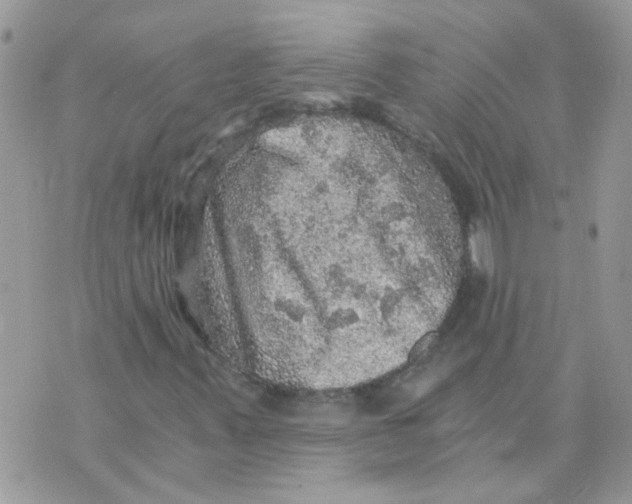 X0000073751347200608311925