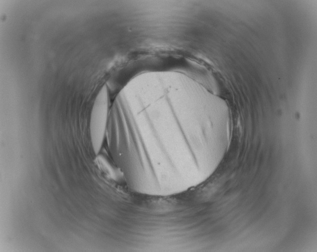 X0000073751348200608311925