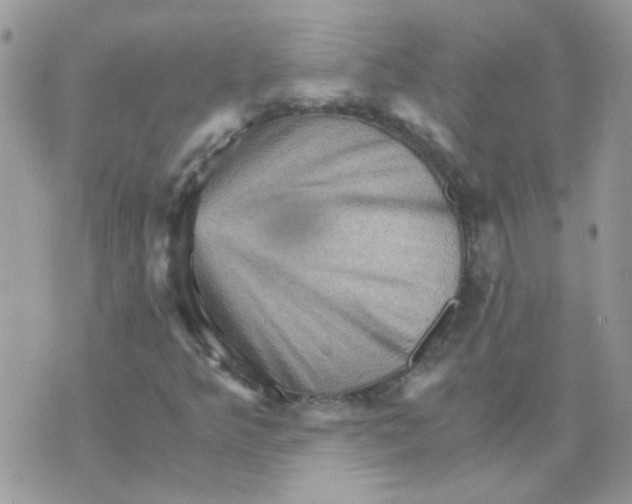 X0000073751349200608311925