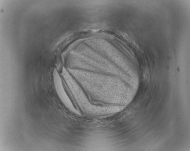 X0000073751350200608311925