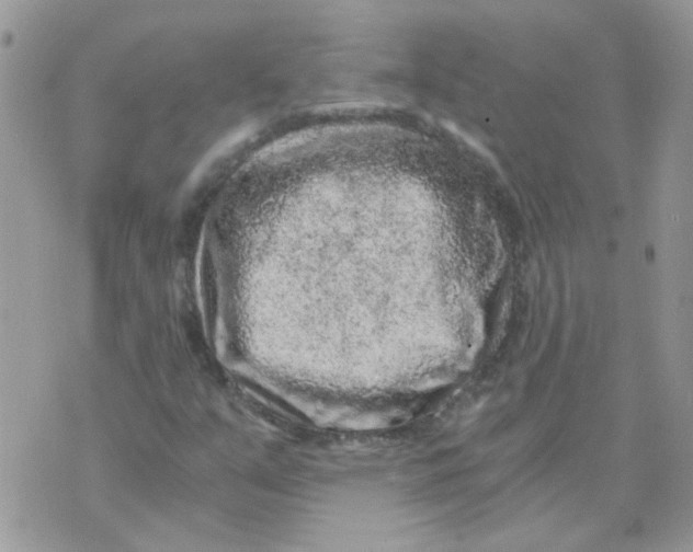 X0000073751351200608311925