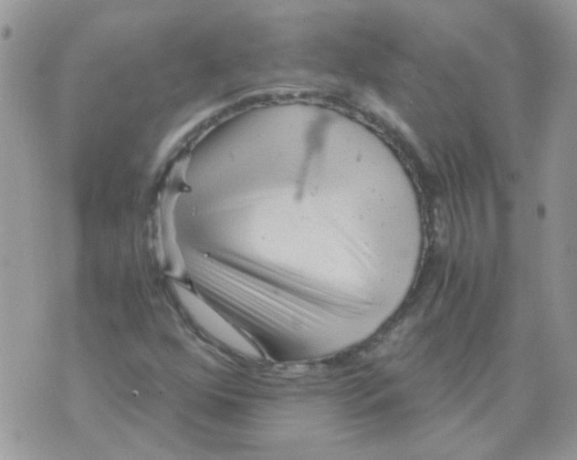 X0000073751352200608311925