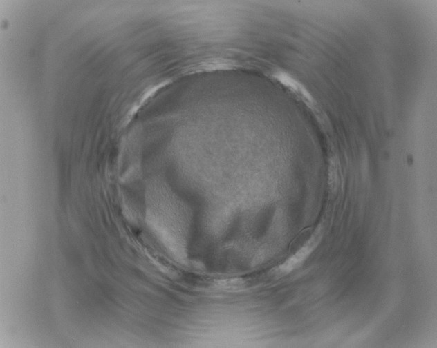 X0000073751353200608311925