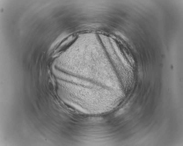 X0000073751354200608311925