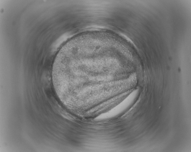 X0000073751355200608311925