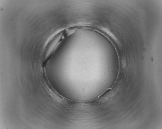 X0000073751356200608311925