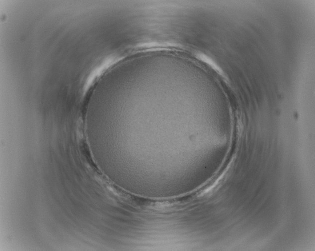 X0000073751357200608311925