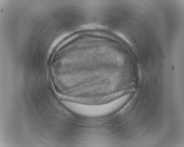 X0000073751358200608311925