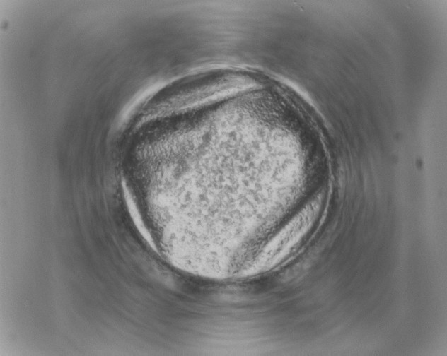 X0000073751359200608311925