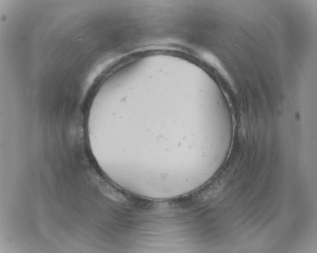 X0000073751360200608311925