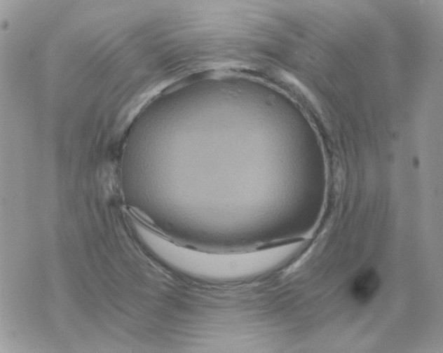 X0000073751361200608311925