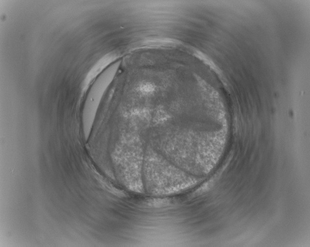 X0000073751362200608311925