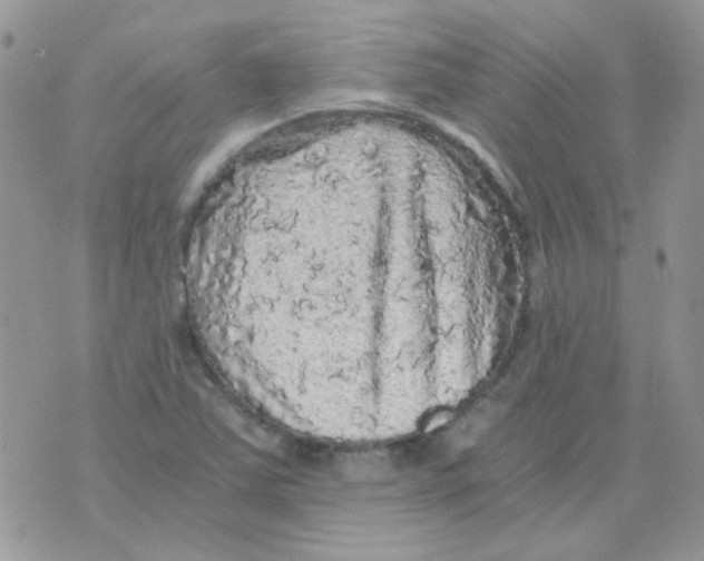 X0000073751363200608311925