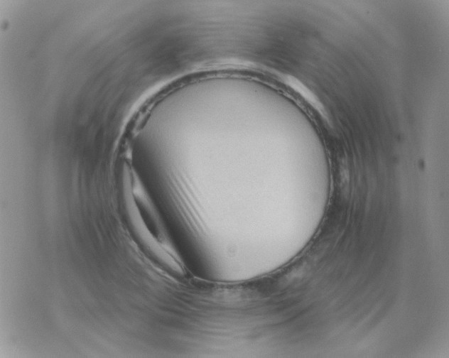 X0000073751364200608311924