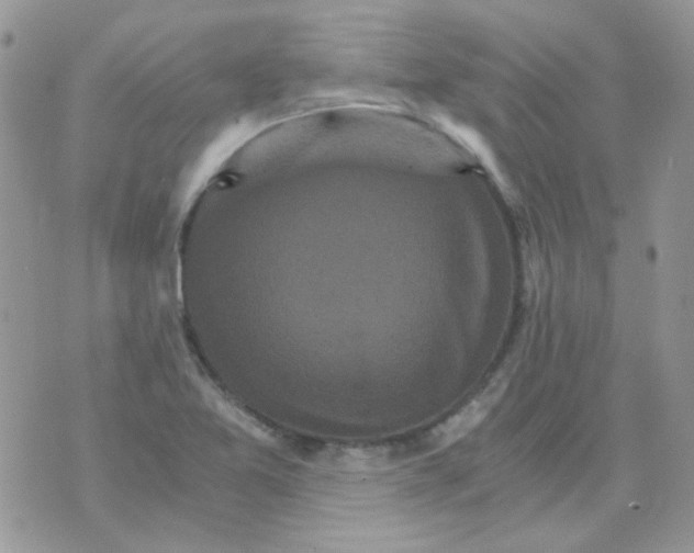 X0000073751365200608311924