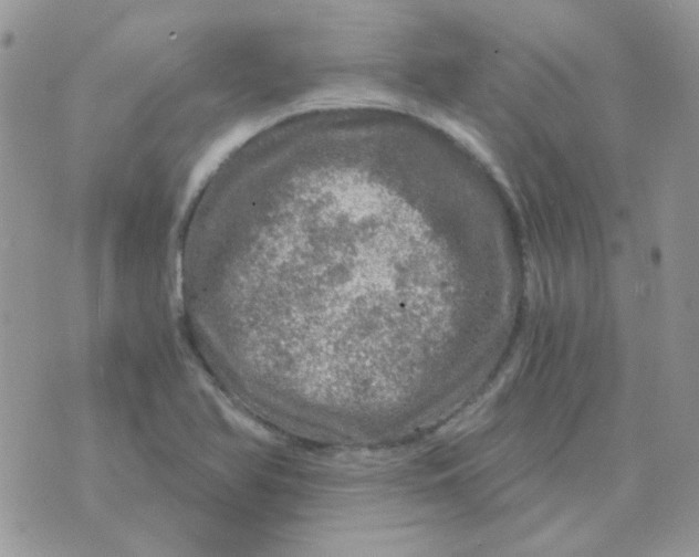 X0000073751366200608311924