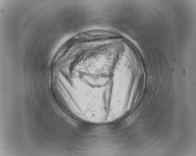 X0000073751367200608311924