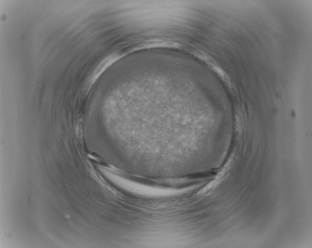 X0000073751369200608311924