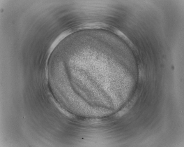 X0000073751370200608311924