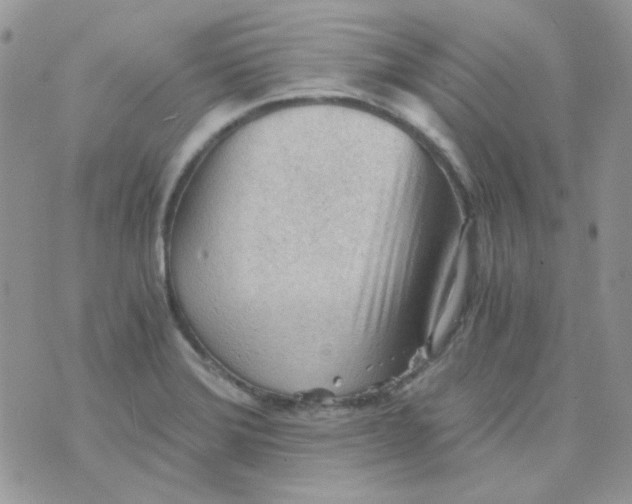 X0000073751372200608311924