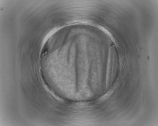 X0000073751373200608311924